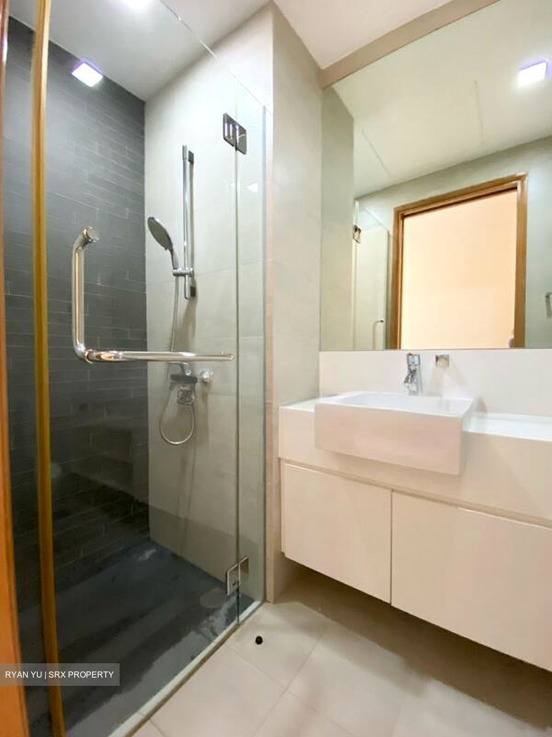 Park Infinia At Wee Nam (D11), Condominium #504599441